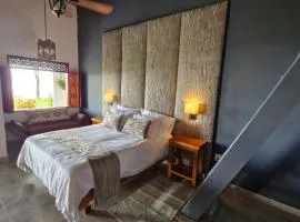 Casa Finca Madrid Mazzitelli