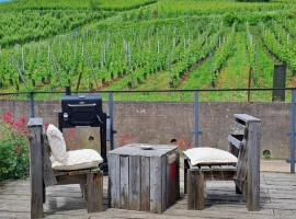 Au pied des vignes, Hotel in Bergheim