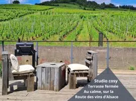 Au pied des vignes, cocon douillet et chaleureux !