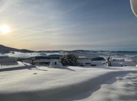 Hotel "Haus am Berg", hotel v destinaci Rinchnach