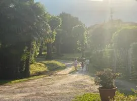 Belinda s' home