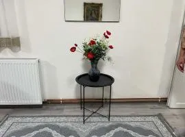 Apartman Royal sa GARAŽOM i KLIMOM
