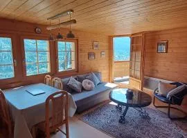 Chalet 3 pièces de caractère