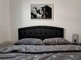 Elephant Apartments