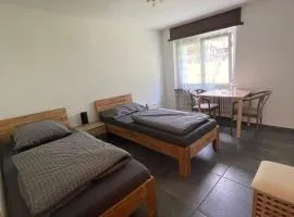 Ferienregion Andermatt - Studio in Wassen