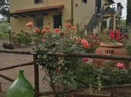 Appartamento Bellosguardo