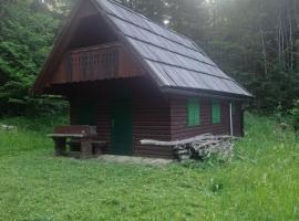 Princess Vogar, vila v destinaci Bohinj