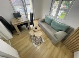 Apartmani Videnovic Sokobanja