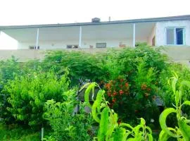 Эд и Эр гостевой дом ближе к аэропорту