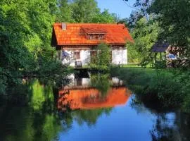 Ferienhaus Klopeinersee Kärnten