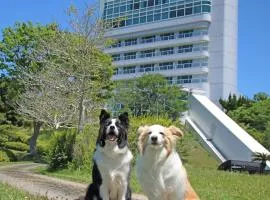 Nanki Shirahama Dog Paradise