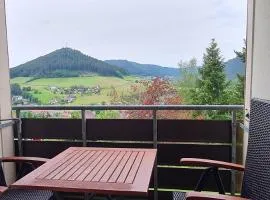 Ferienappartement in Black Forest