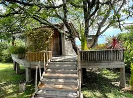 Cabane en bois climatisée