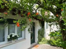 Le Gardenie di Tito