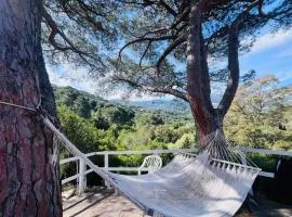 Gli Alisei - Elba Affitti