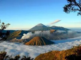 gigafa homestay