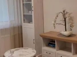 Cozy Kaunas apartment