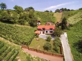 Amazing Home In Vinica With Sauna