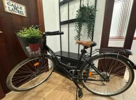 BIKE APARTMENT next to Cathedral and Laurel by Apartamentos Logrono org