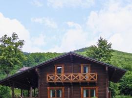 сottage "Ksenija" котедж "Ксенія", hotel golf di Skole