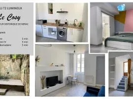 Le Cosy - T2 avec petite cour dans centre historique de Nérac