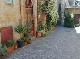 Charming House in Barbarano Romano with Terrace and Fireplace