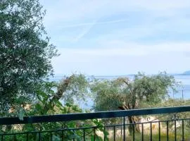 Evo's Sea view resort