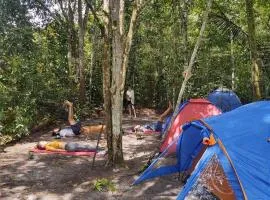 Camping na Floresta