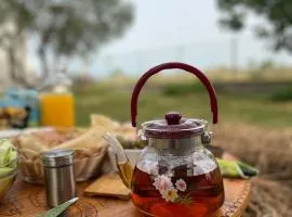 Lake shkodra
