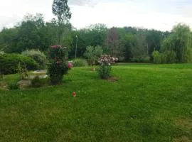 Chambre avec entrée indépendante dans un écrin de verdure