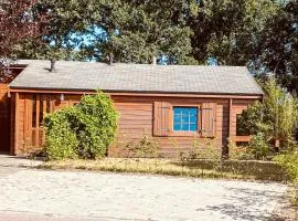 Lovely Stacaravan In Rheezerveen