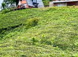 Elit Bungalov, hotel v destinaci Ardeşen