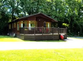 Rustic Fawn Lodge with Hot Tub for 4 - Resort Spa in Devon