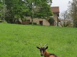 Stirpe nel Bosco - Fiocco