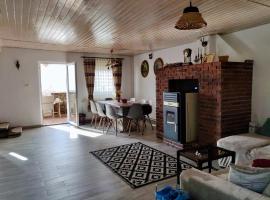 Holiday House Valiug ชาเลต์ในวาลิอุก