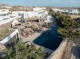 Asty Mykonos Hotel & Spa - World of One Hotel Group, hotel v destinácii Mykonos (mesto)