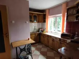 Dom z Własną plażą