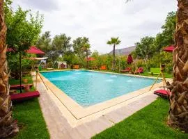 The garden of Asni
