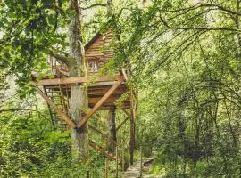 Okolin Basoa Suites
