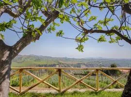 La Terrazza sul Vigneto