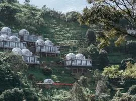 Damar Langit Resort