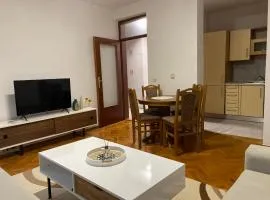 Apartment Luka