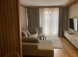 Apartment 333 Aparthotel Vučko Jahorina private host
