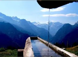 Chalet Alpage près des Cimes, 8 pers, Terrasse, Animaux admis - FR-1-464-148