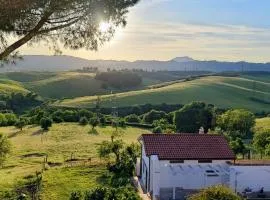 All'ombra del pino ALLOGGIO TURISTICO