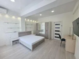Testemiteanu 2 bedroom apartment air-conditioned