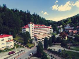 Geovita Krynica-Zdroj, hotel din Krynica
