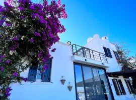 Bodrum Yalıkavak Villa