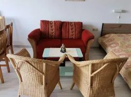 Rolligerechtes Appartement mit Terrasse und Garten