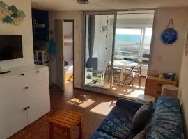 Studio Cabine avec Loggia, Garage et Parking à Port Leucate - FR-1-798-36
